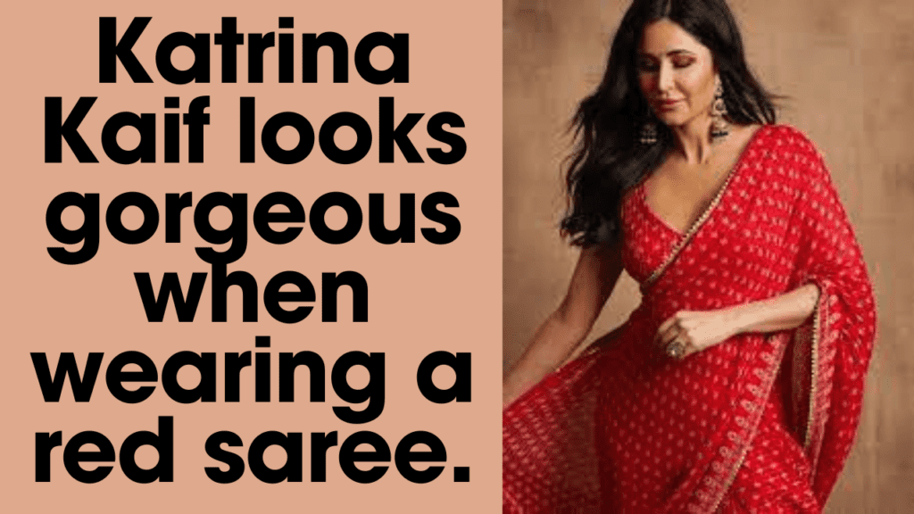 Katrina Kaif SAREE BY feature fashion